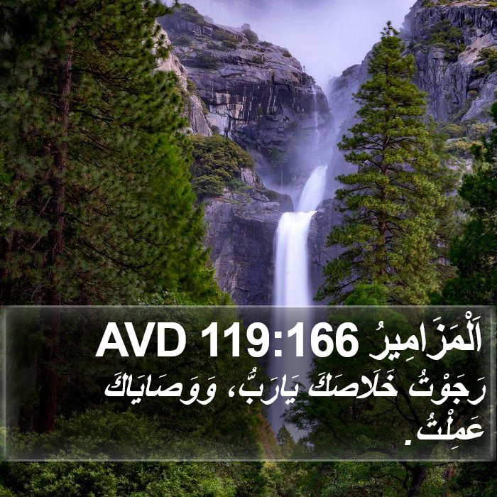 اَلْمَزَامِيرُ 119:166 AVD Bible Study