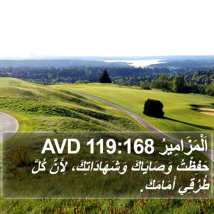 اَلْمَزَامِيرُ 119:168 AVD Bible Study