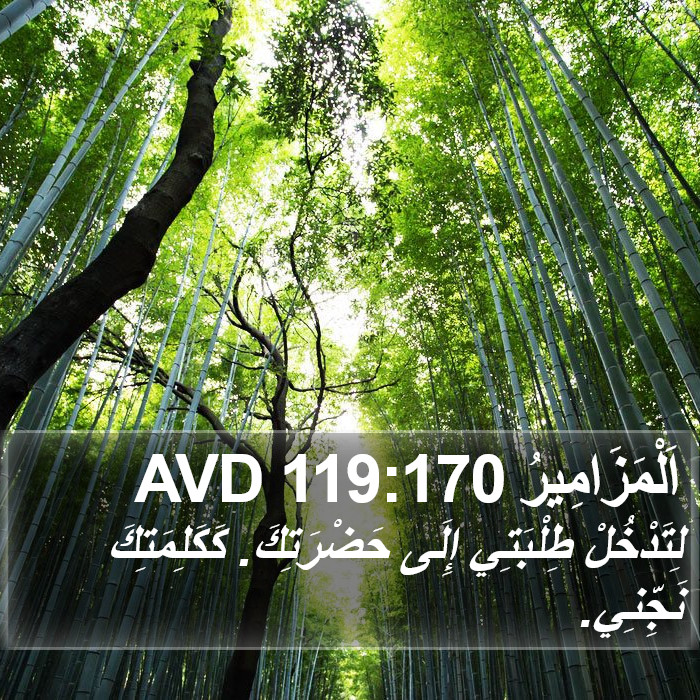 اَلْمَزَامِيرُ 119:170 AVD Bible Study