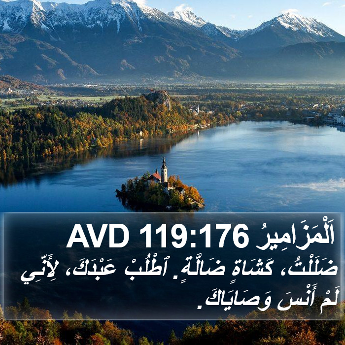 اَلْمَزَامِيرُ 119:176 AVD Bible Study