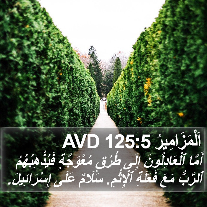 اَلْمَزَامِيرُ 125:5 AVD Bible Study