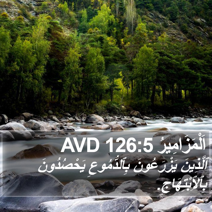اَلْمَزَامِيرُ 126:5 AVD Bible Study