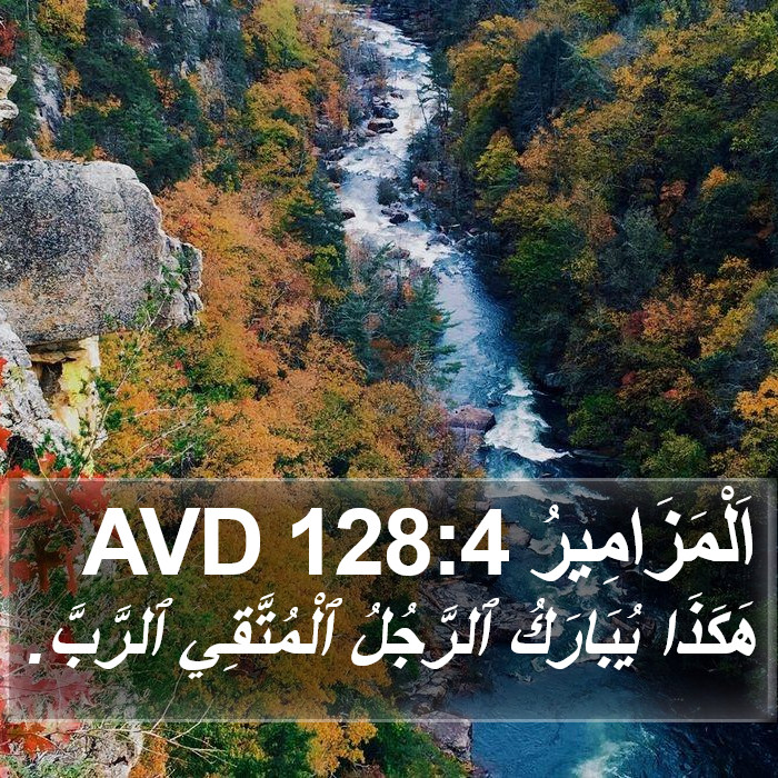 اَلْمَزَامِيرُ 128:4 AVD Bible Study