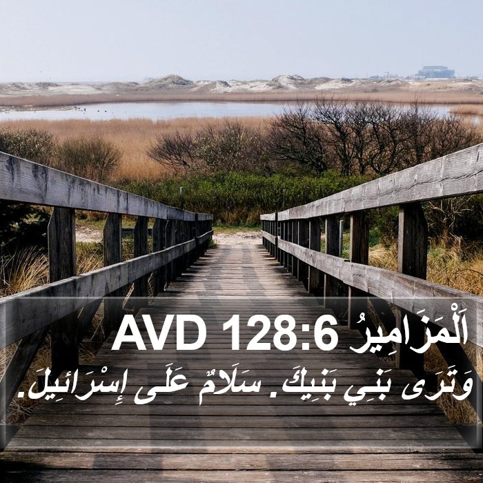 اَلْمَزَامِيرُ 128:6 AVD Bible Study