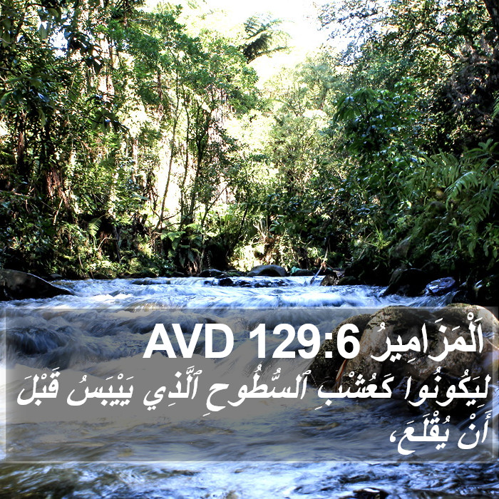 اَلْمَزَامِيرُ 129:6 AVD Bible Study