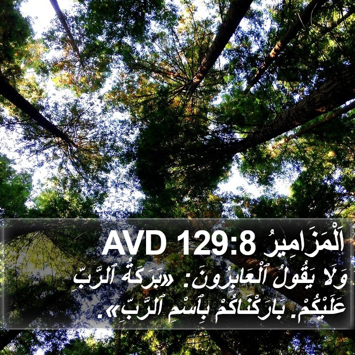 اَلْمَزَامِيرُ 129:8 AVD Bible Study