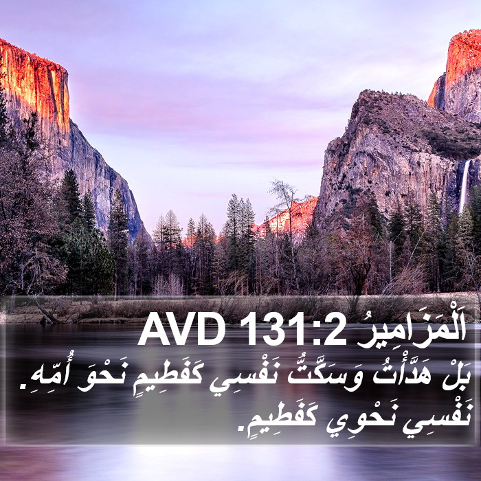اَلْمَزَامِيرُ 131:2 AVD Bible Study