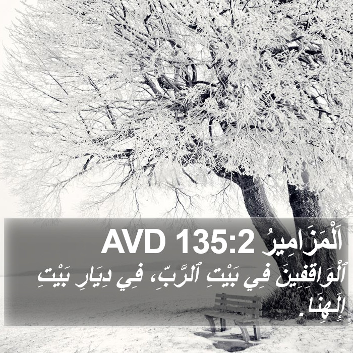 اَلْمَزَامِيرُ 135:2 AVD Bible Study