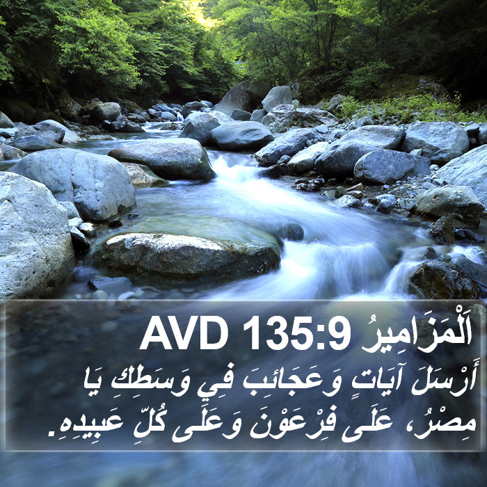 اَلْمَزَامِيرُ 135:9 AVD Bible Study