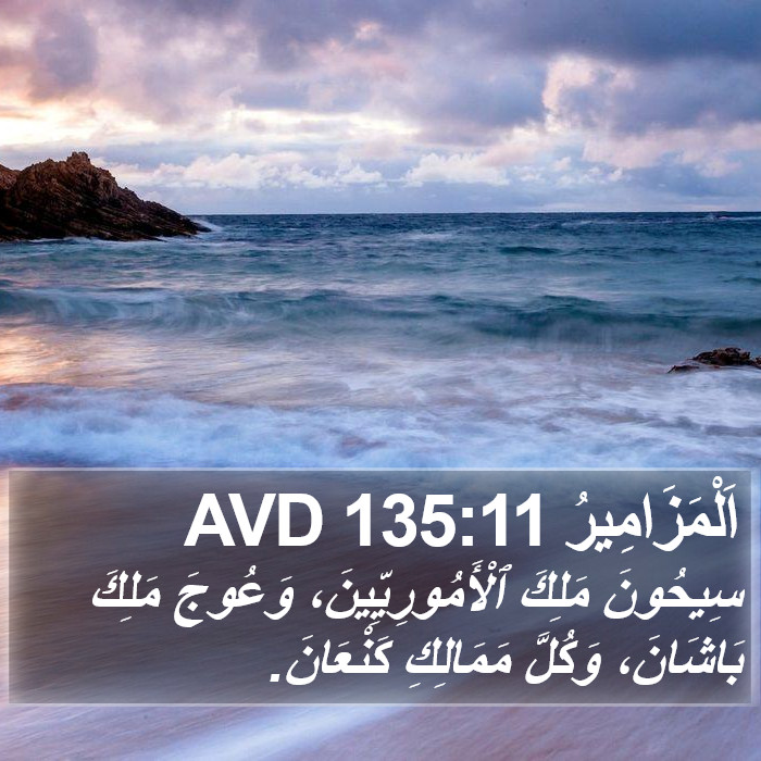 اَلْمَزَامِيرُ 135:11 AVD Bible Study