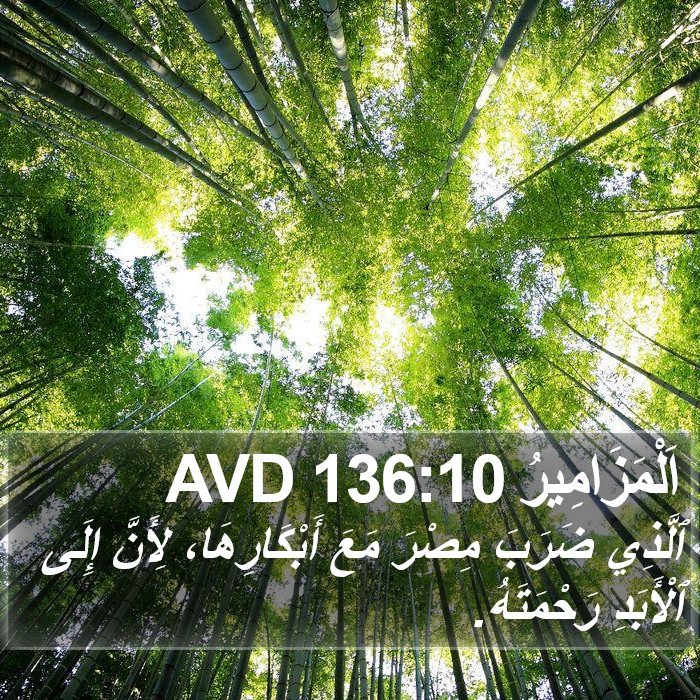 اَلْمَزَامِيرُ 136:10 AVD Bible Study