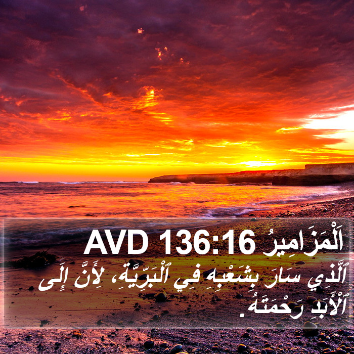 اَلْمَزَامِيرُ 136:16 AVD Bible Study