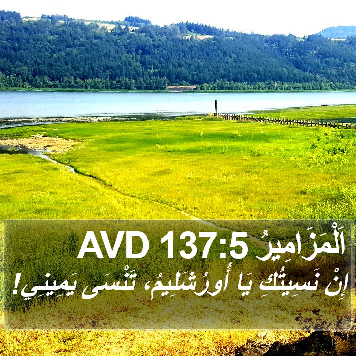 اَلْمَزَامِيرُ 137:5 AVD Bible Study