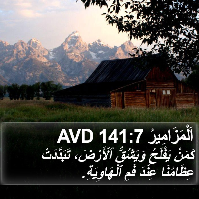 اَلْمَزَامِيرُ 141:7 AVD Bible Study