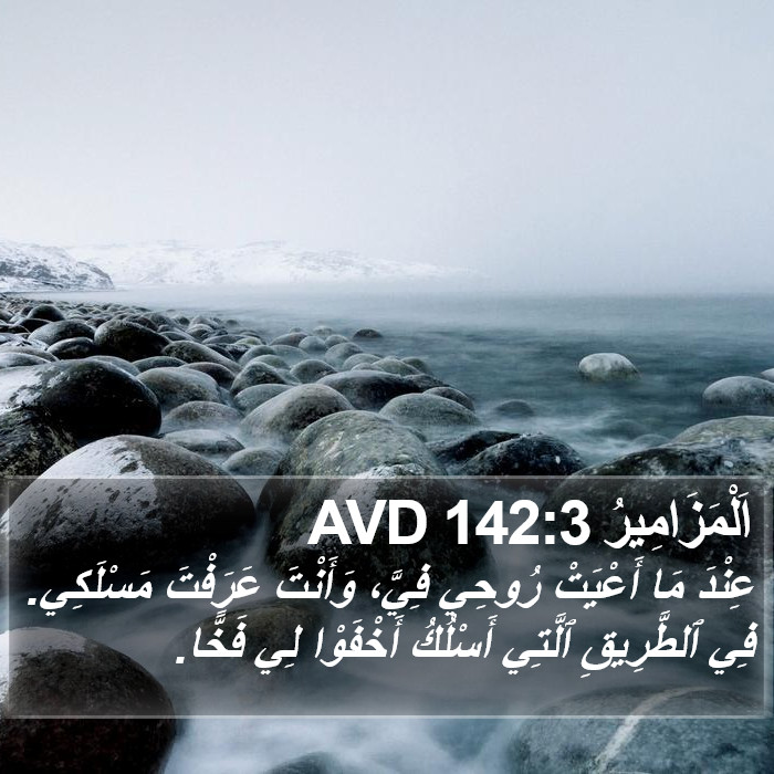 اَلْمَزَامِيرُ 142:3 AVD Bible Study