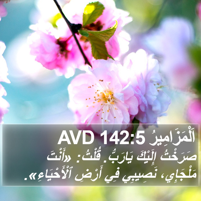 اَلْمَزَامِيرُ 142:5 AVD Bible Study