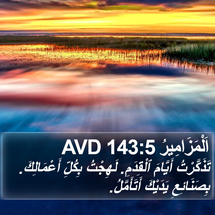 اَلْمَزَامِيرُ 143:5 AVD Bible Study