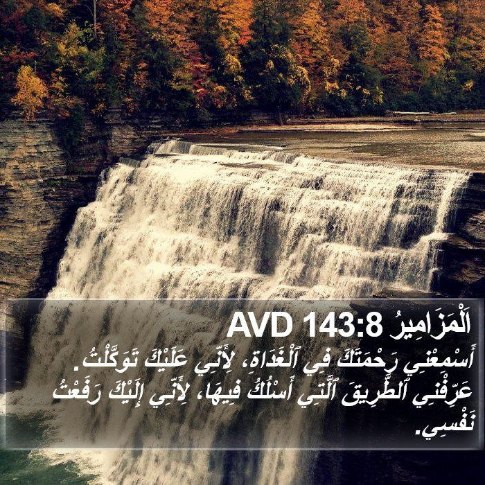 اَلْمَزَامِيرُ 143:8 AVD Bible Study