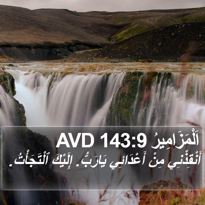 اَلْمَزَامِيرُ 143:9 AVD Bible Study