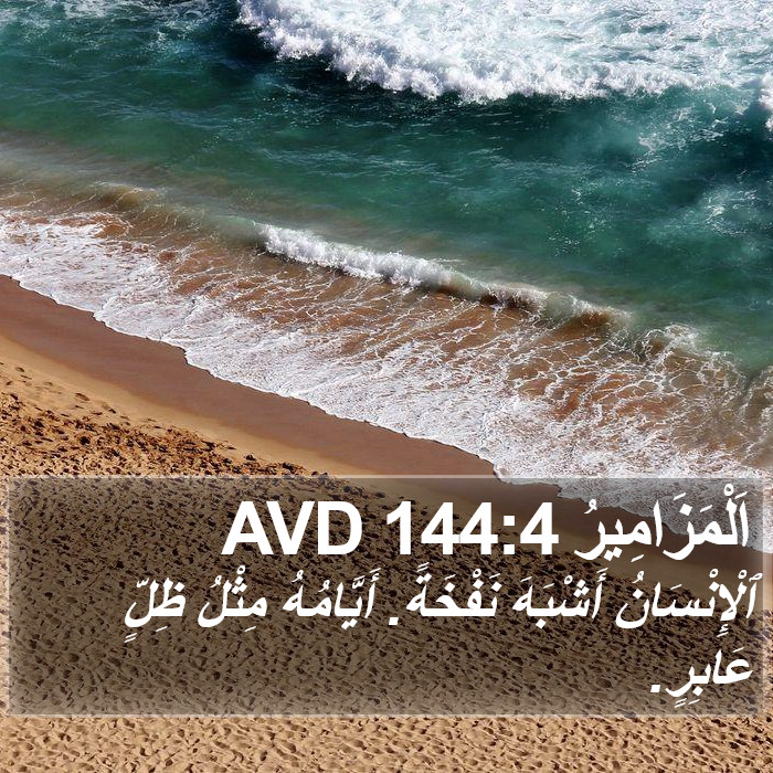 اَلْمَزَامِيرُ 144:4 AVD Bible Study