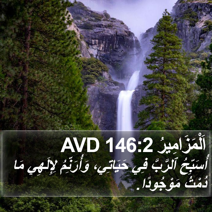 اَلْمَزَامِيرُ 146:2 AVD Bible Study