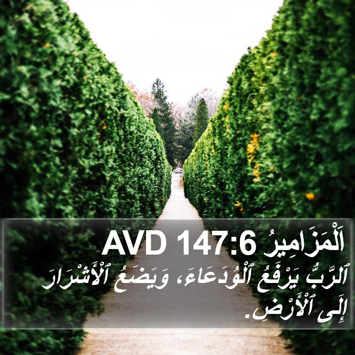 اَلْمَزَامِيرُ 147:6 AVD Bible Study