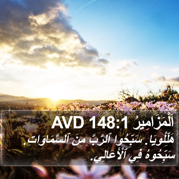 اَلْمَزَامِيرُ 148:1 AVD Bible Study