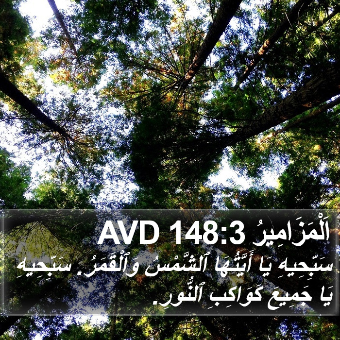 اَلْمَزَامِيرُ 148:3 AVD Bible Study