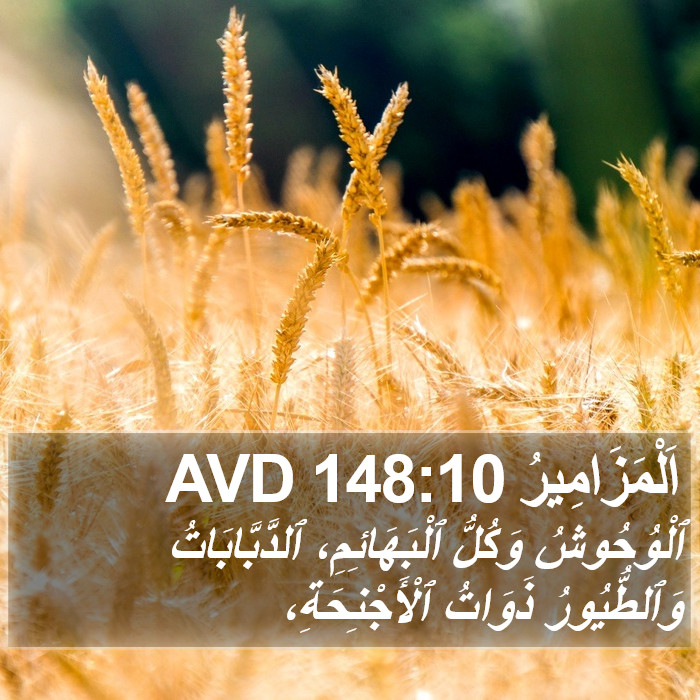 اَلْمَزَامِيرُ 148:10 AVD Bible Study