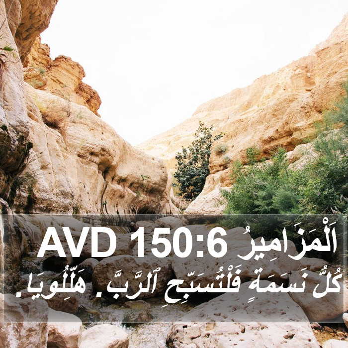 اَلْمَزَامِيرُ 150:6 AVD Bible Study