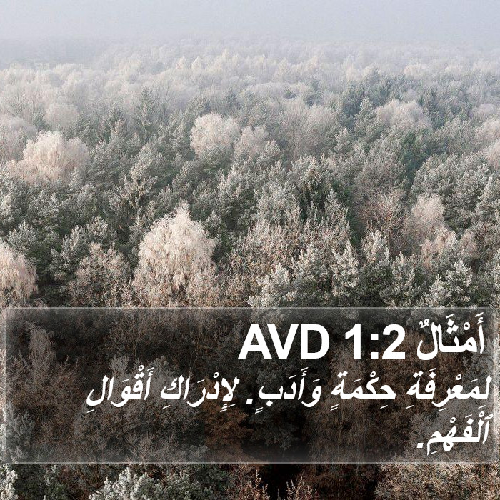 أَمْثَالٌ 1:2 AVD Bible Study