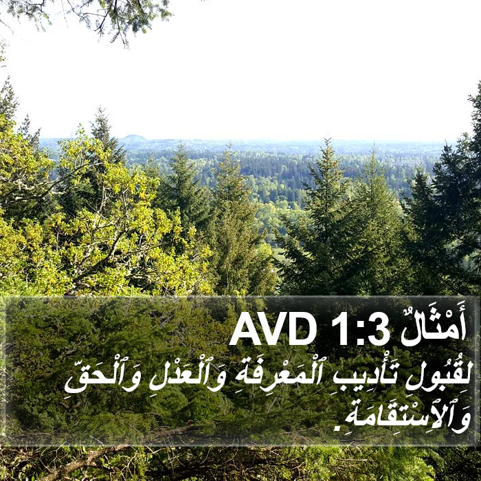 أَمْثَالٌ 1:3 AVD Bible Study