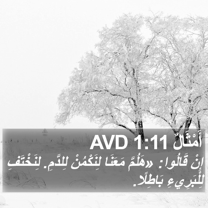 أَمْثَالٌ 1:11 AVD Bible Study