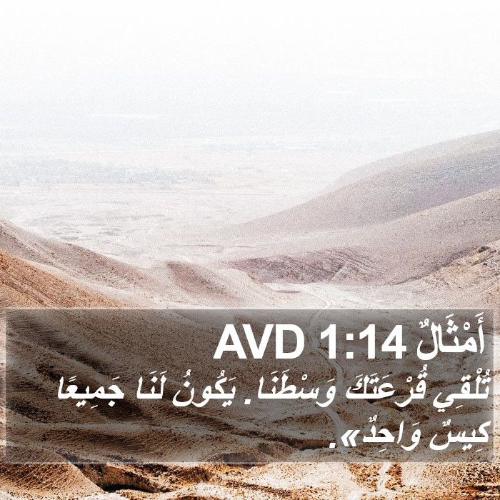 أَمْثَالٌ 1:14 AVD Bible Study