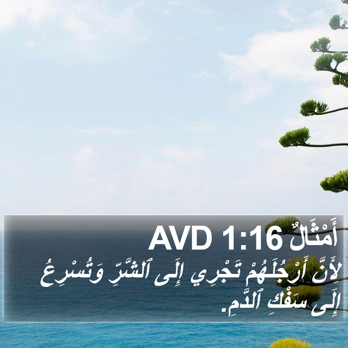 أَمْثَالٌ 1:16 AVD Bible Study