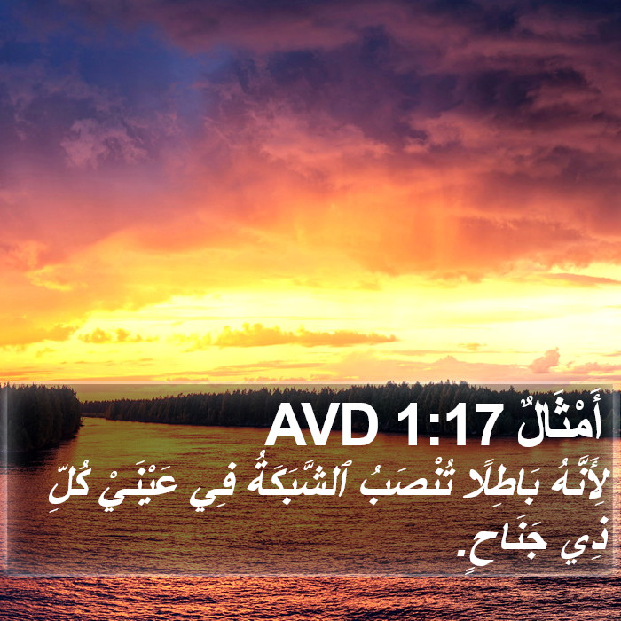 أَمْثَالٌ 1:17 AVD Bible Study