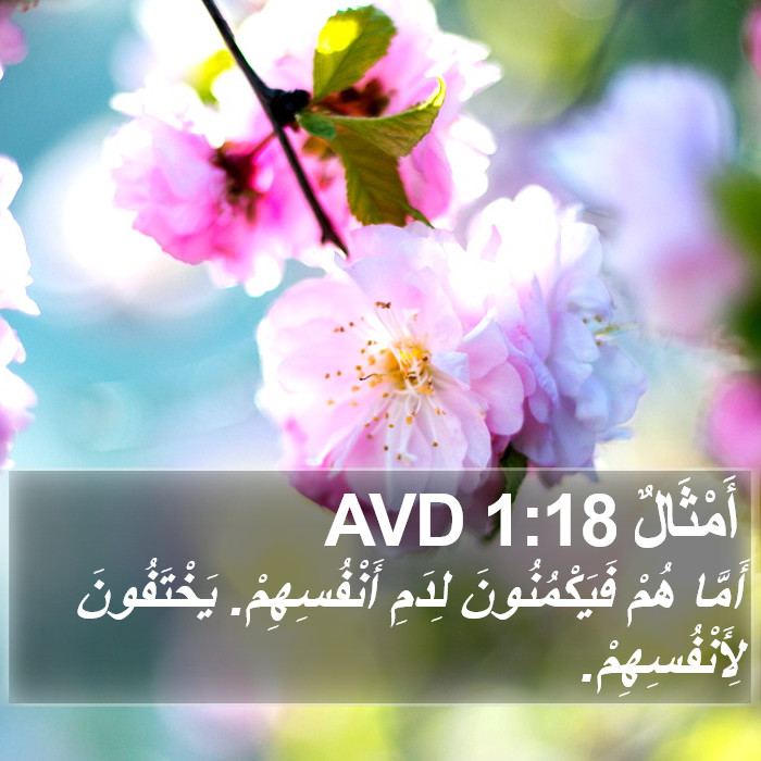 أَمْثَالٌ 1:18 AVD Bible Study