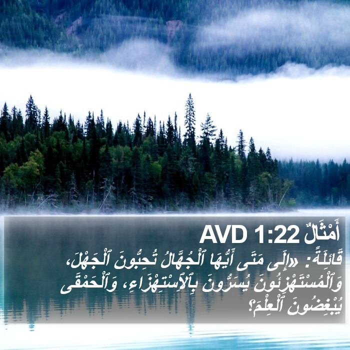 أَمْثَالٌ 1:22 AVD Bible Study