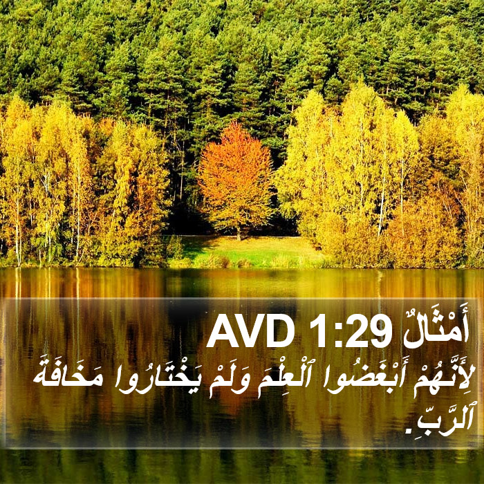 أَمْثَالٌ 1:29 AVD Bible Study