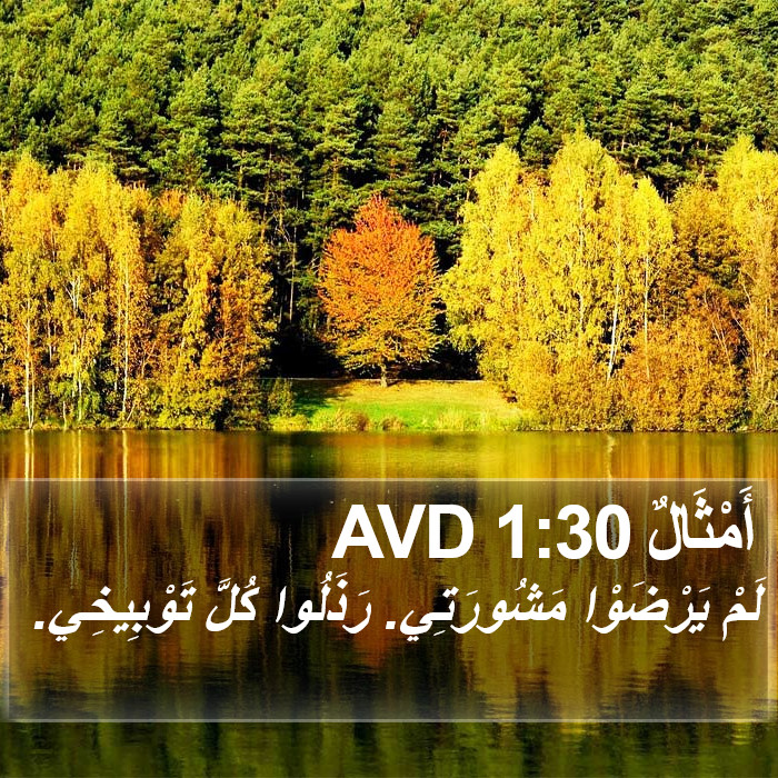 أَمْثَالٌ 1:30 AVD Bible Study