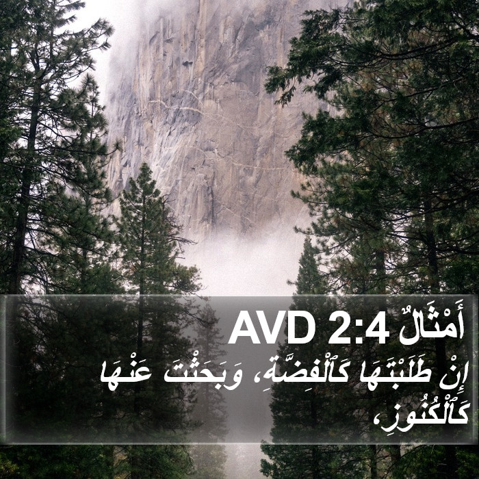 أَمْثَالٌ 2:4 AVD Bible Study