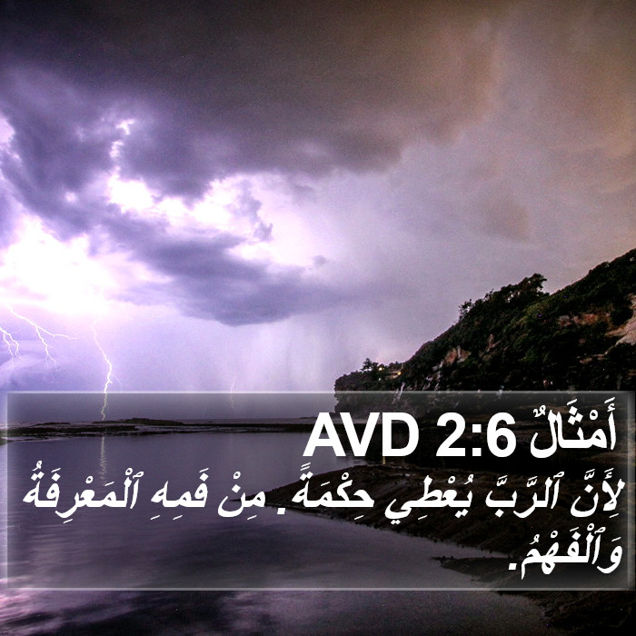 أَمْثَالٌ 2:6 AVD Bible Study