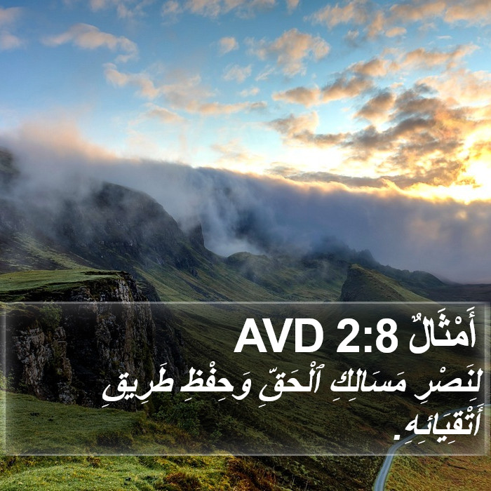 أَمْثَالٌ 2:8 AVD Bible Study