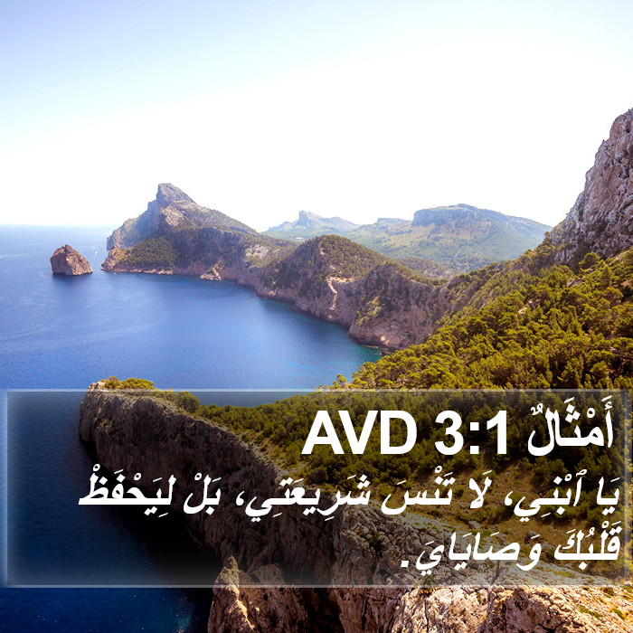 أَمْثَالٌ 3:1 AVD Bible Study