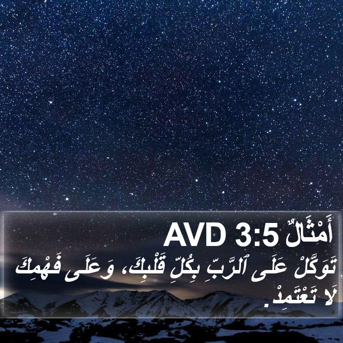 أَمْثَالٌ 3:5 AVD Bible Study