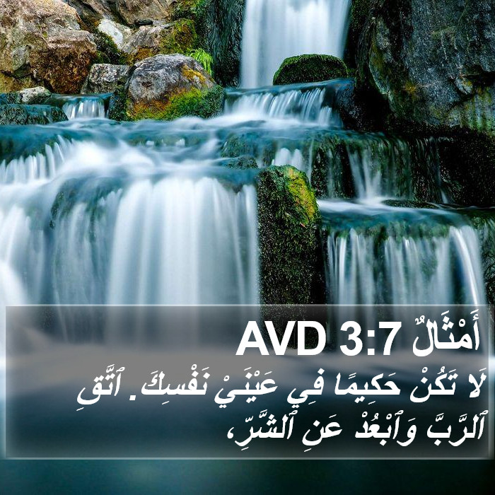 أَمْثَالٌ 3:7 AVD Bible Study