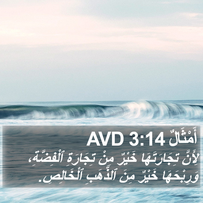 أَمْثَالٌ 3:14 AVD Bible Study