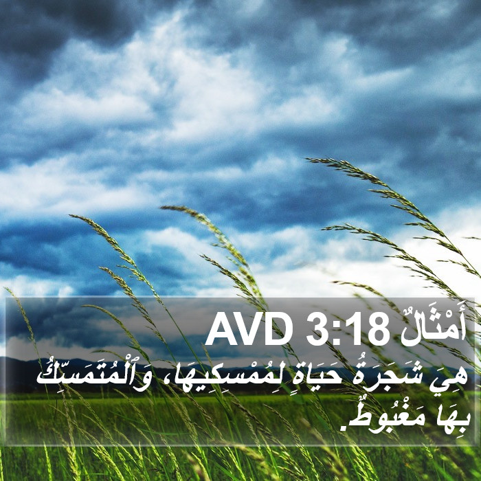 أَمْثَالٌ 3:18 AVD Bible Study