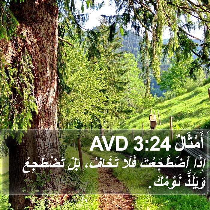 أَمْثَالٌ 3:24 AVD Bible Study