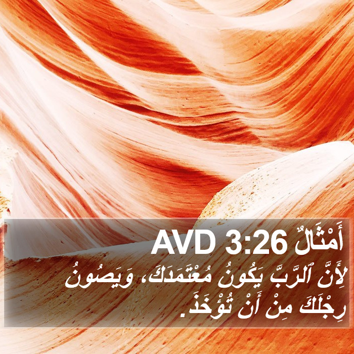 أَمْثَالٌ 3:26 AVD Bible Study